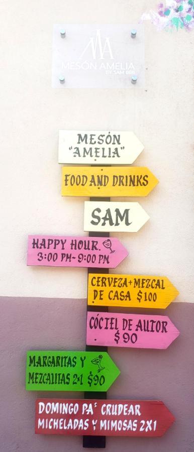 圣米格尔－德阿连德 Meson Amelia酒店 外观 照片